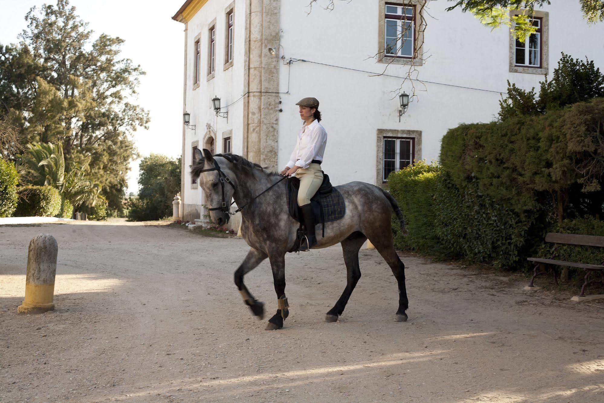 Golegã Quinta Dos Alamos Agroturismo מראה חיצוני תמונה