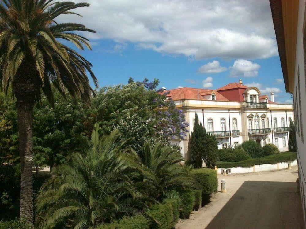 Golegã Quinta Dos Alamos Agroturismo מראה חיצוני תמונה